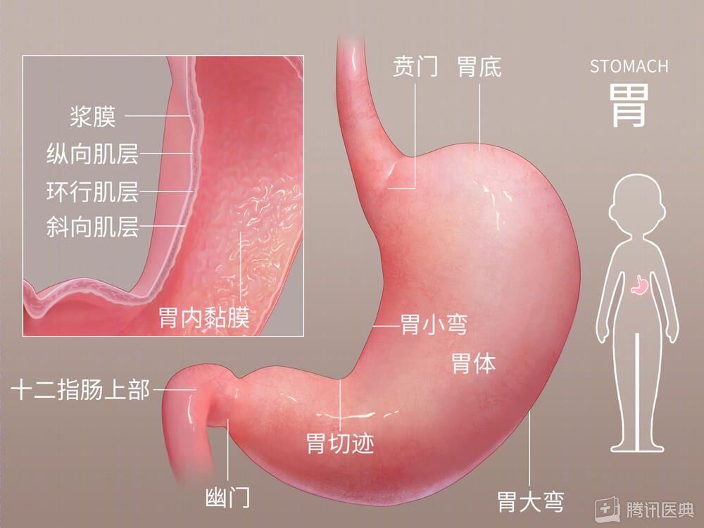 36歲女子，從胃痛到查出胃癌僅3周！醫(yī)生：這5類人最危險